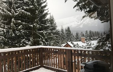 Apartmán s terasou a výhledem na jezero