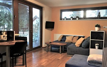 Studio s terasou
