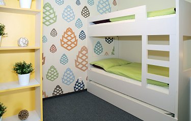 Apartmán s piniovou terasou