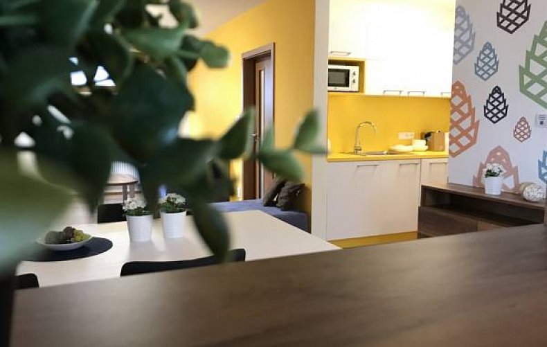 Apartmán s piniovou terasou